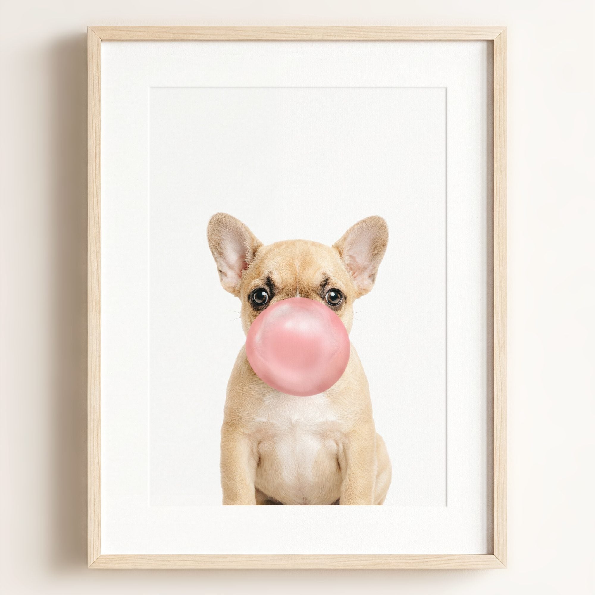 Baby Puppy French Bulldog