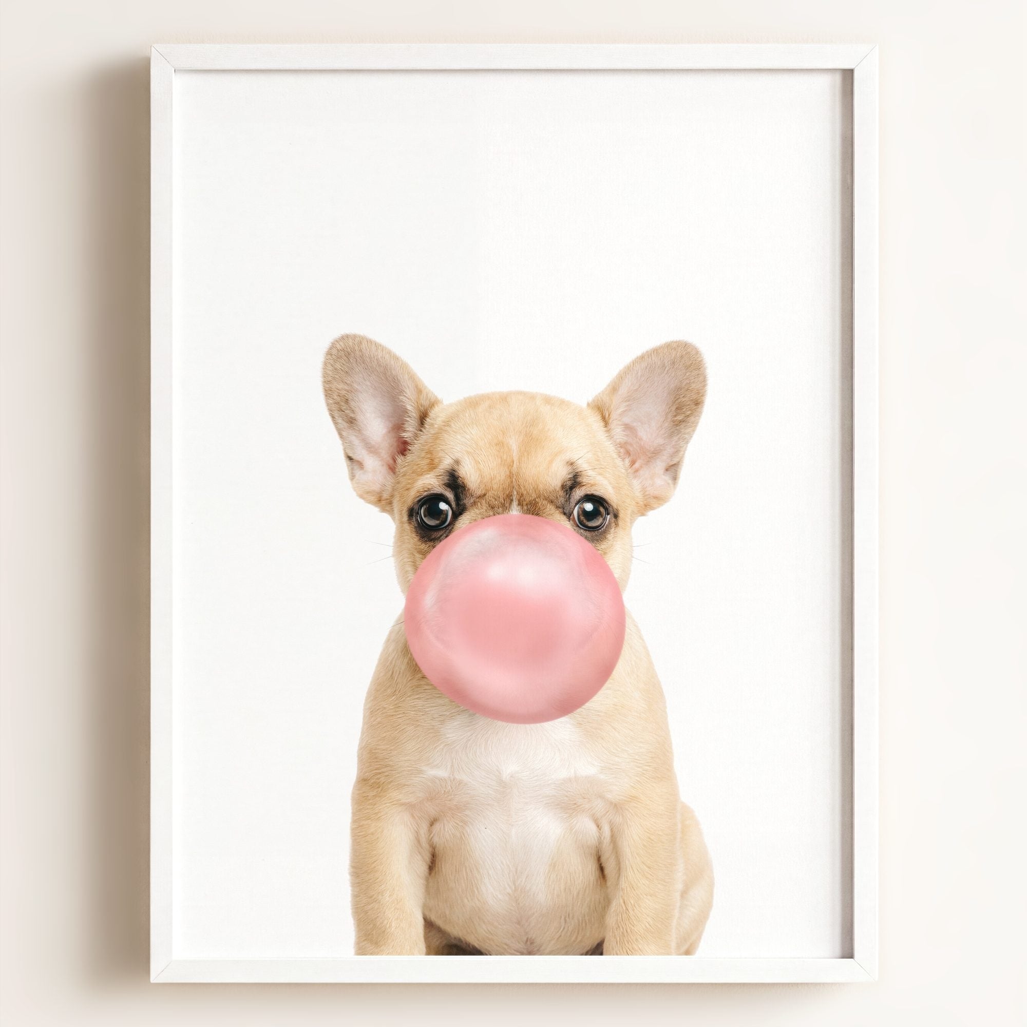 Baby Puppy French Bulldog