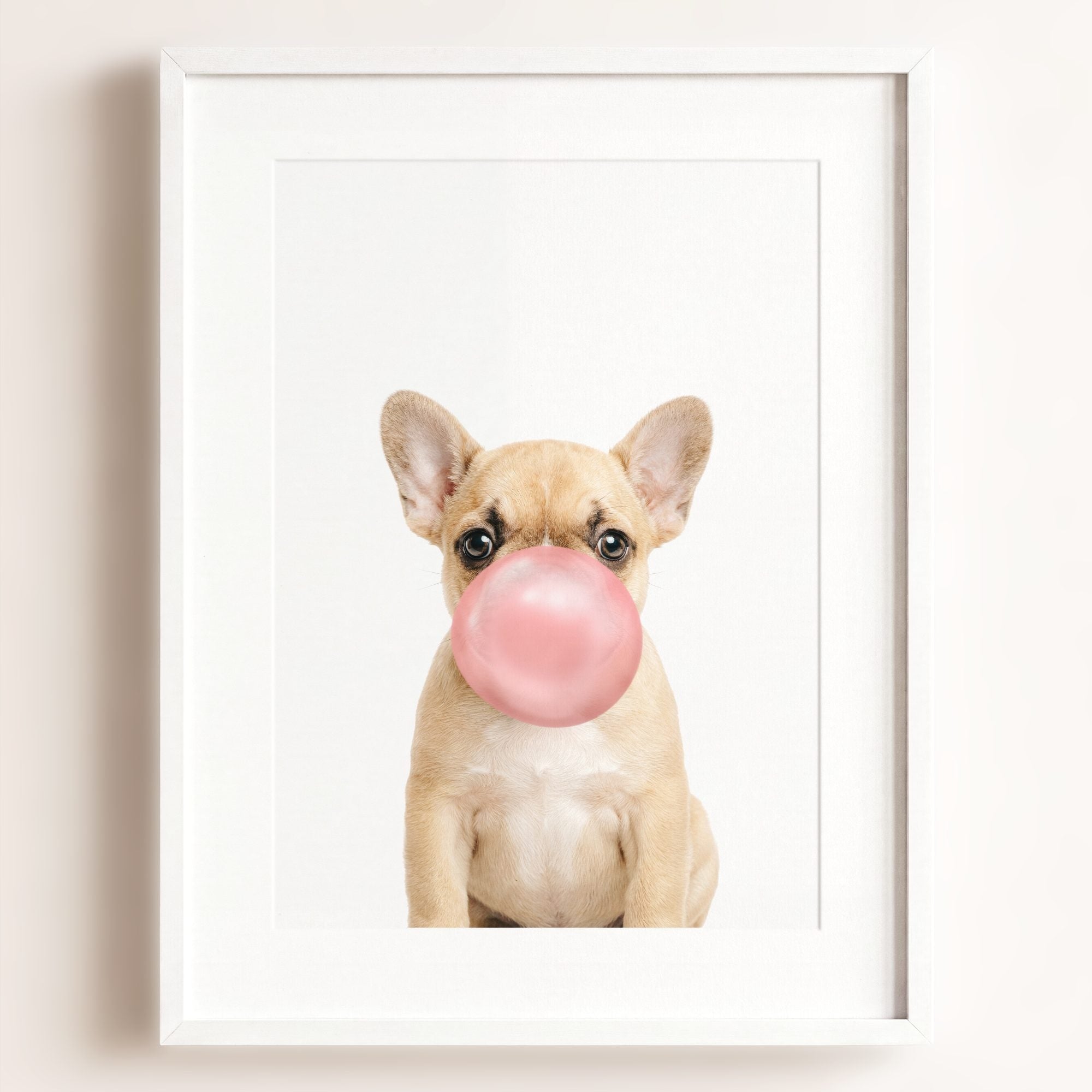 Baby Puppy French Bulldog