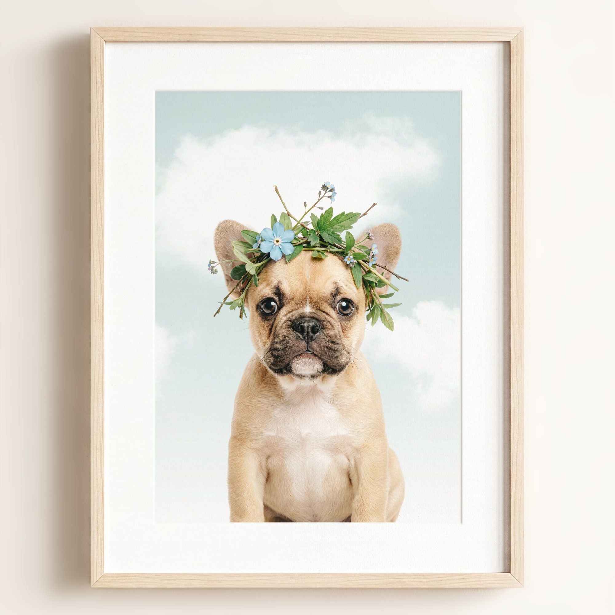 Baby Puppy French Bulldog