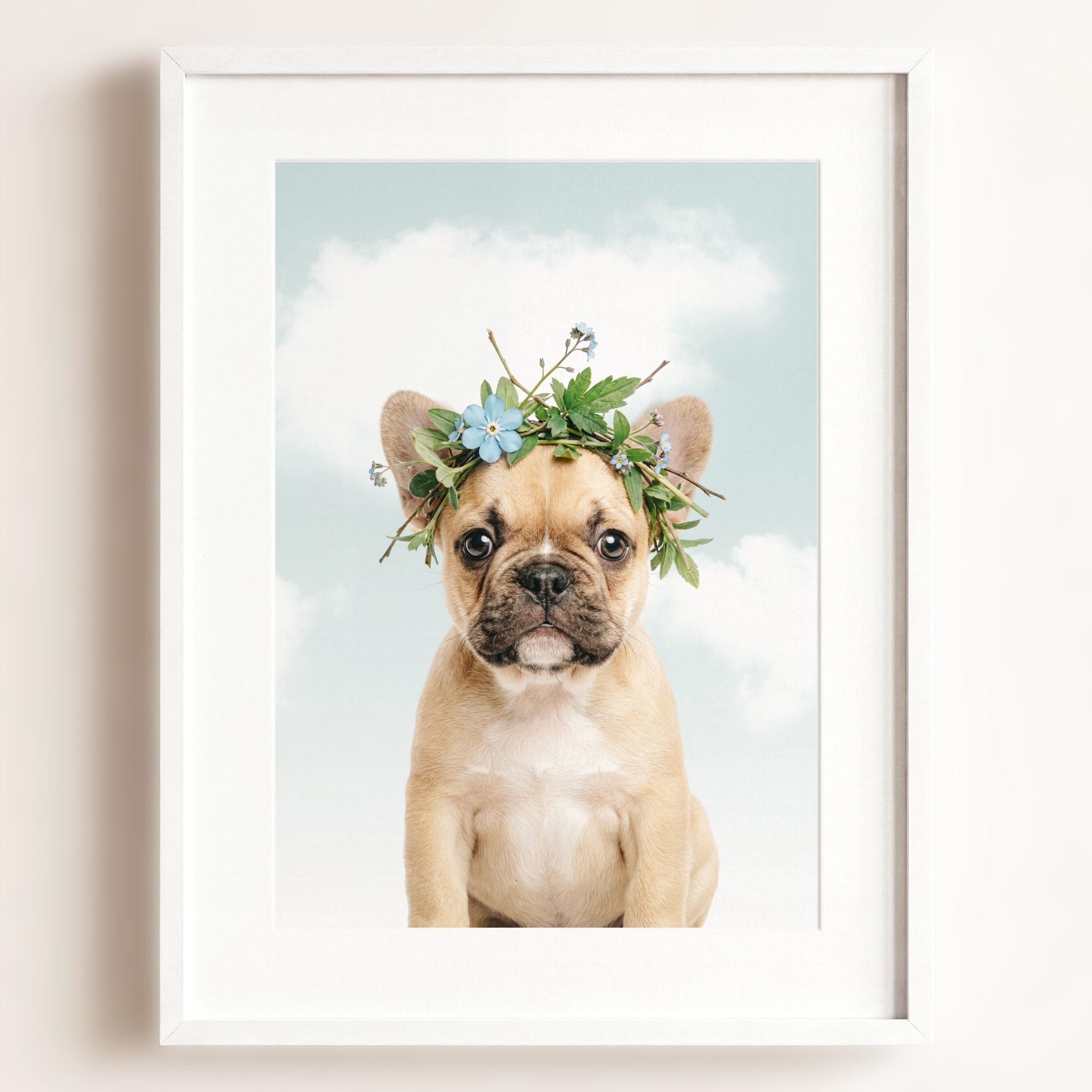 Baby Puppy French Bulldog