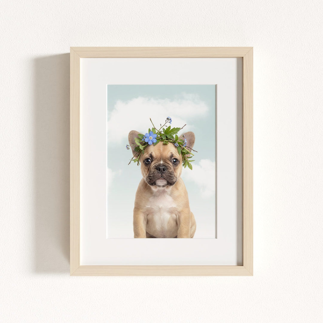 Baby Puppy French Bulldog