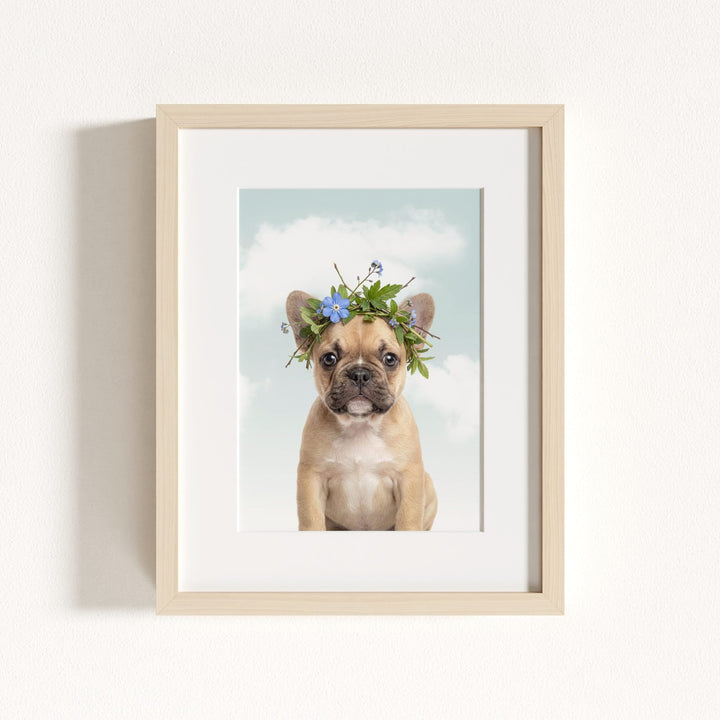 Baby Puppy French Bulldog