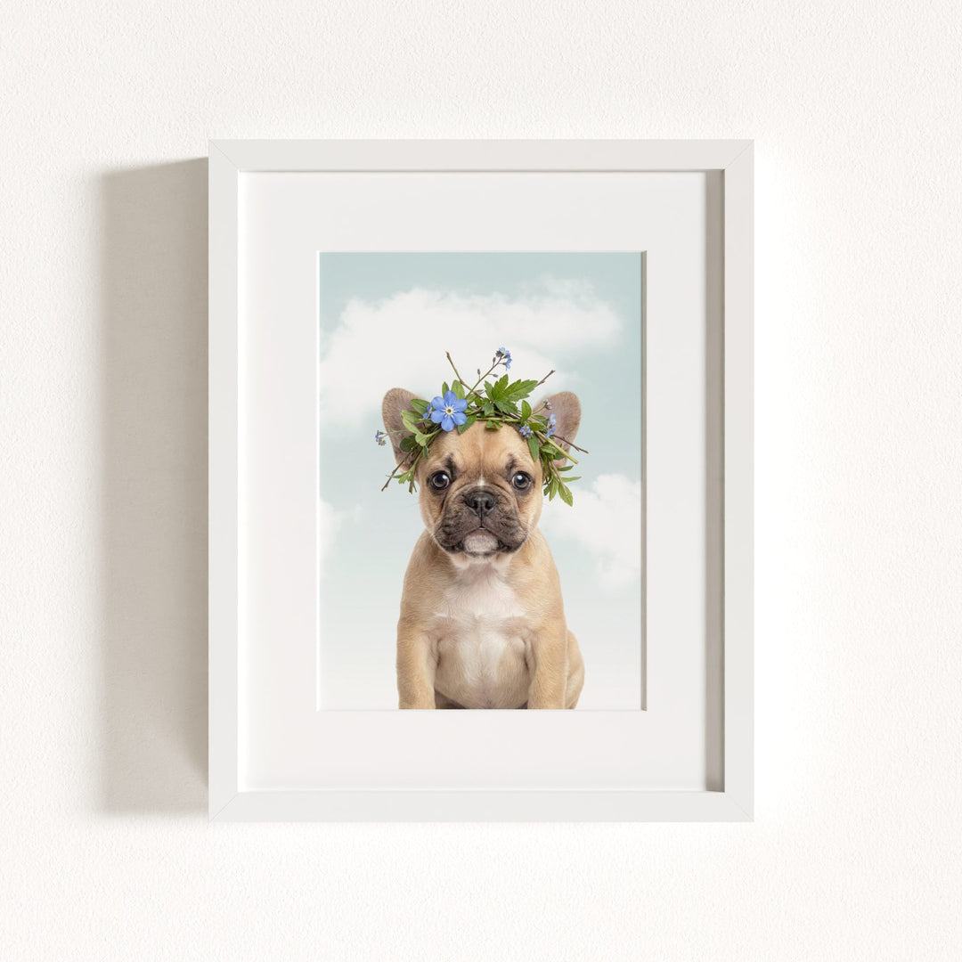 Baby Puppy French Bulldog