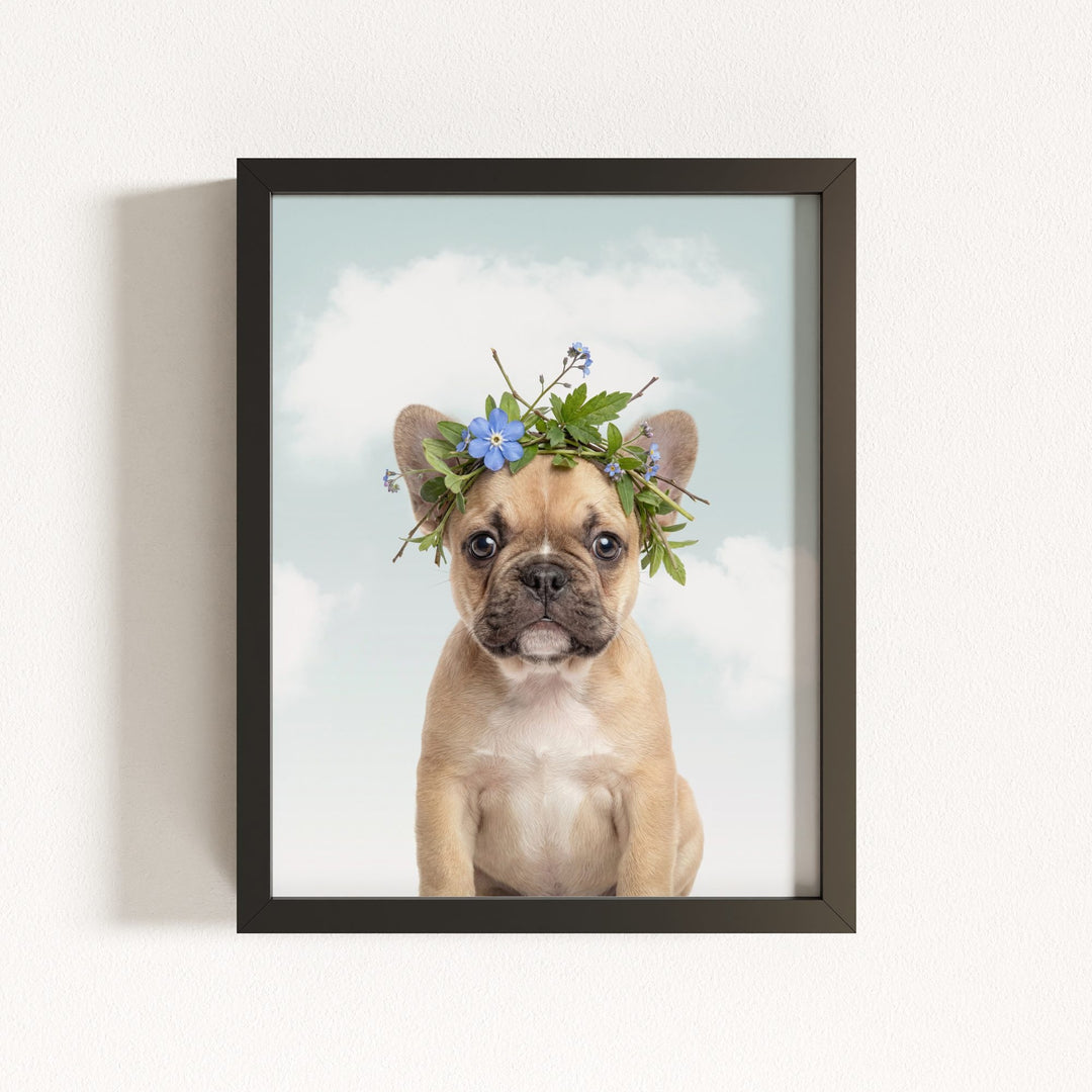 Baby Puppy French Bulldog