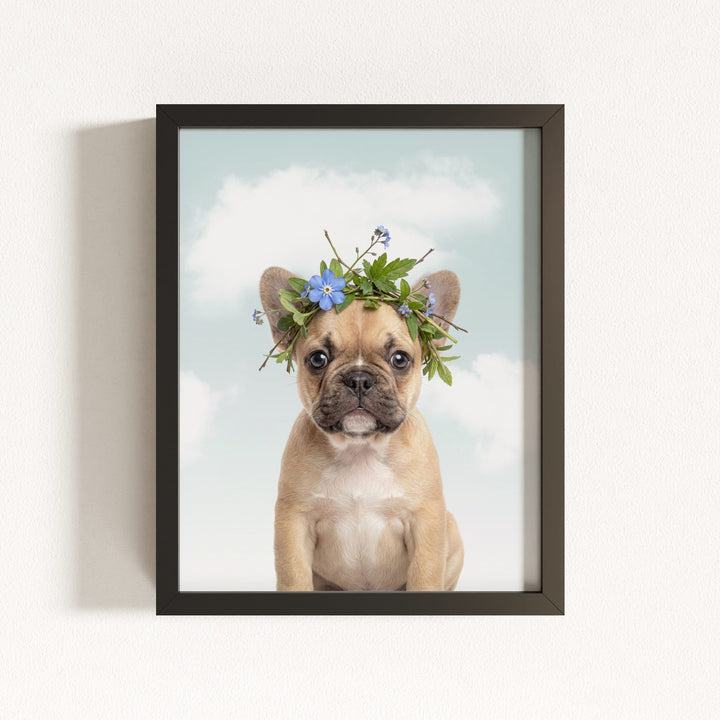 Baby Puppy French Bulldog