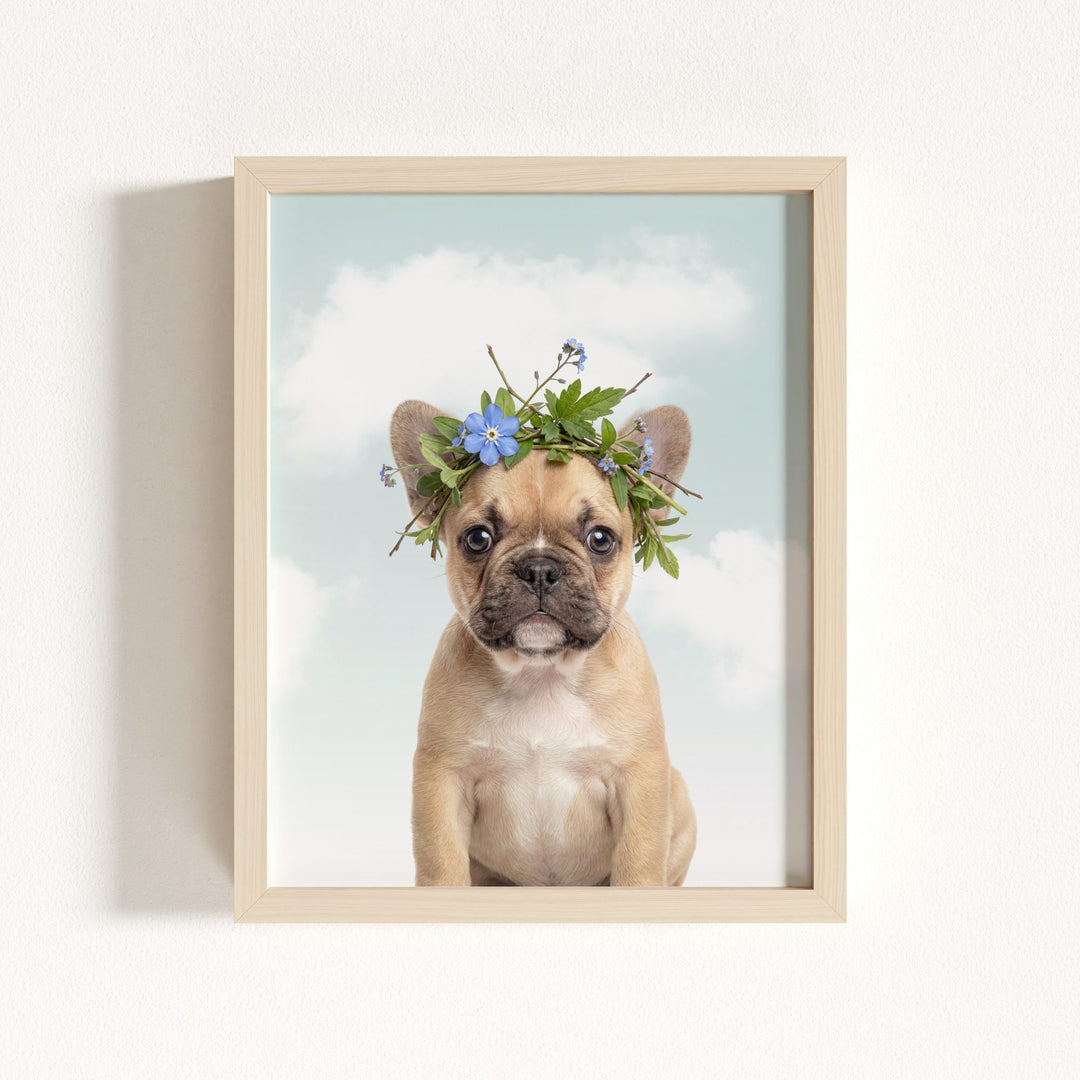 Baby Puppy French Bulldog