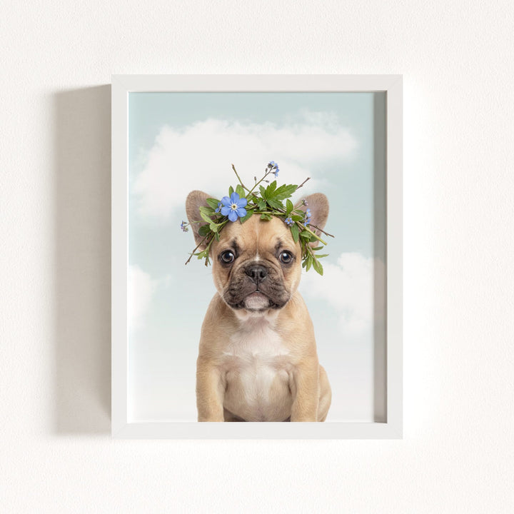 Baby Puppy French Bulldog