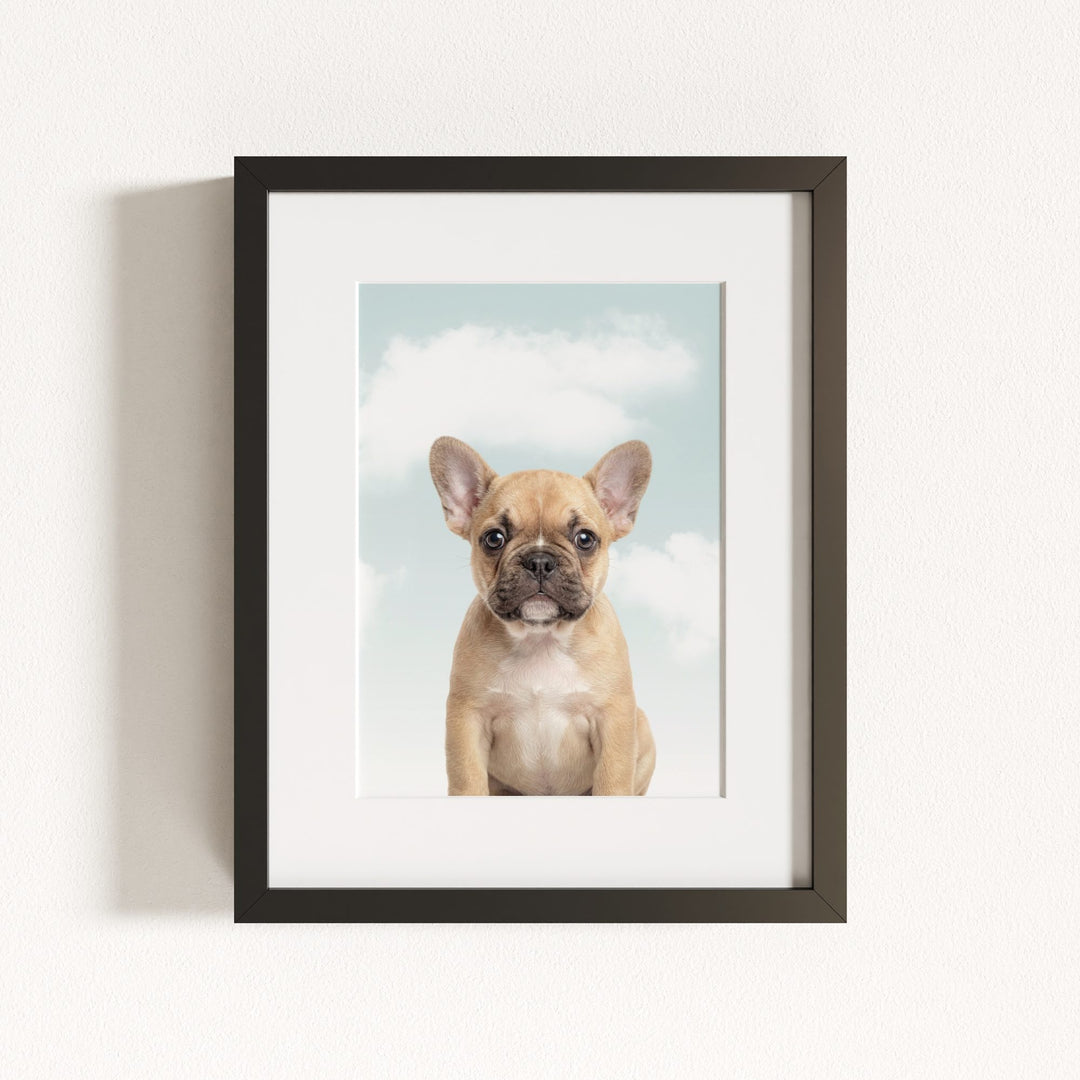 Baby Puppy French Bulldog