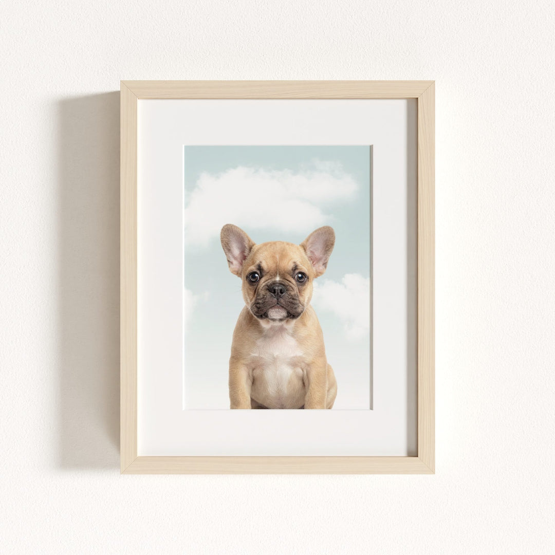 Baby Puppy French Bulldog