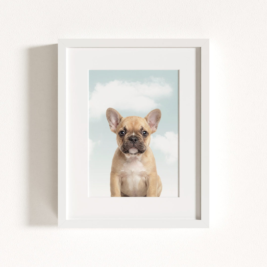 Baby Puppy French Bulldog