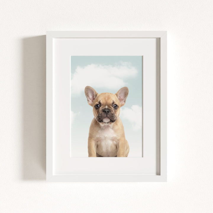 Baby Puppy French Bulldog