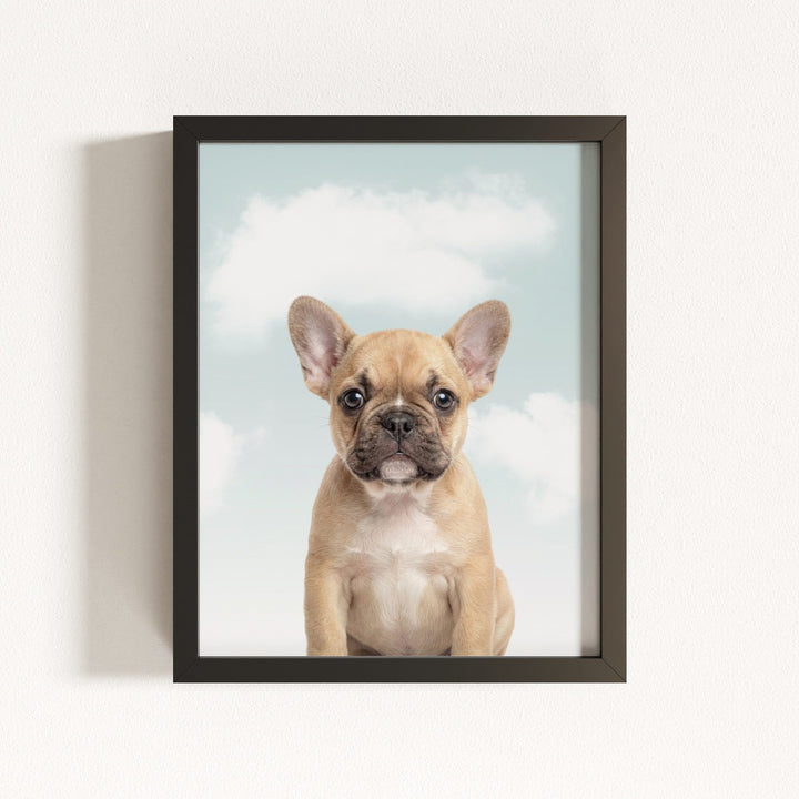 Baby Puppy French Bulldog