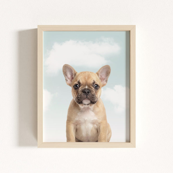 Baby Puppy French Bulldog