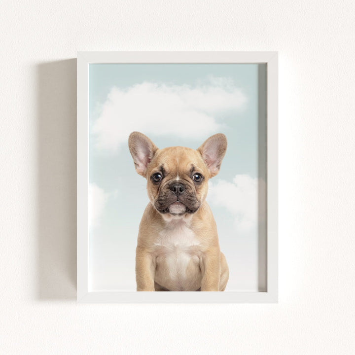 Baby Puppy French Bulldog