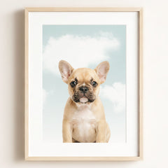 Baby Puppy French Bulldog