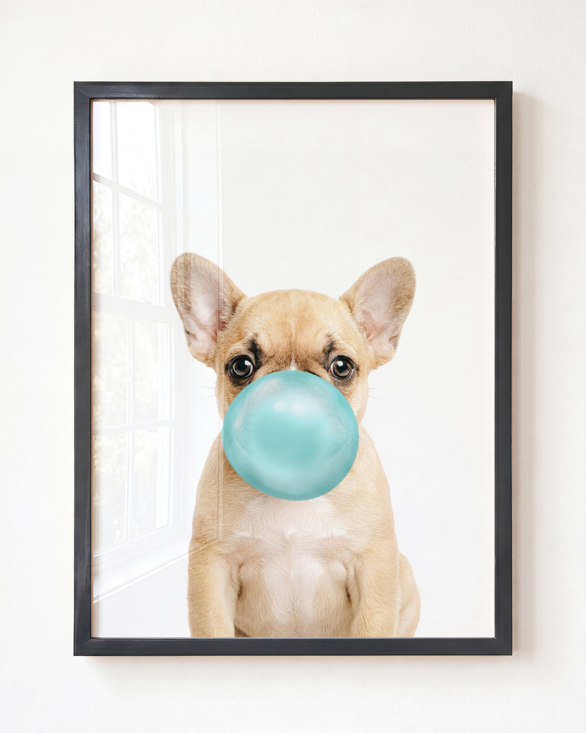 Baby Puppy French Bulldog