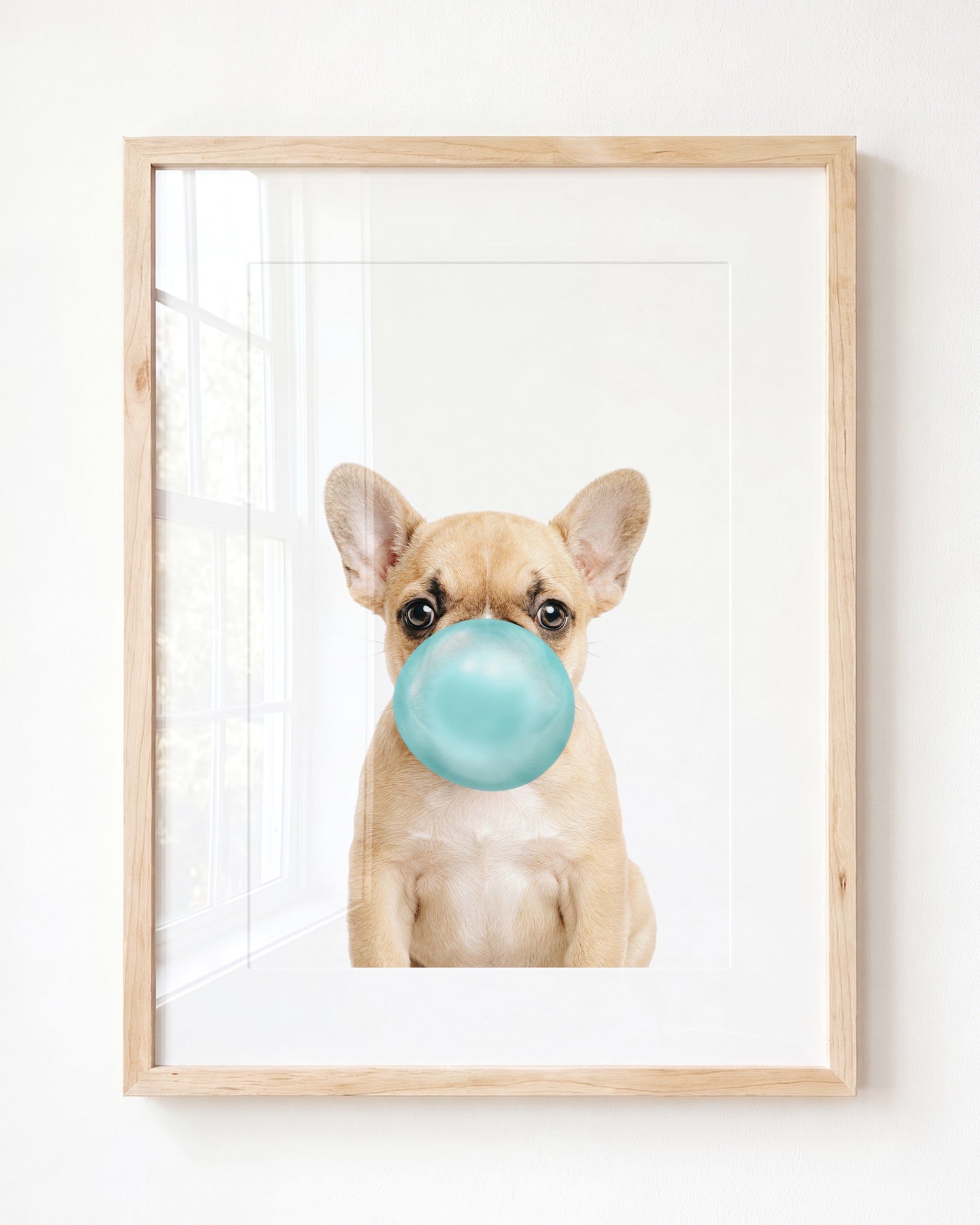 Baby Puppy French Bulldog