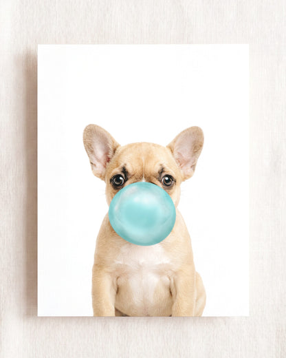 Baby Puppy French Bulldog