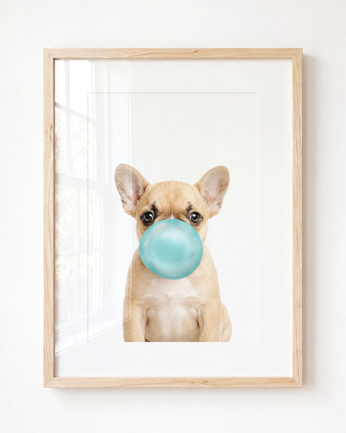 Baby Puppy French Bulldog