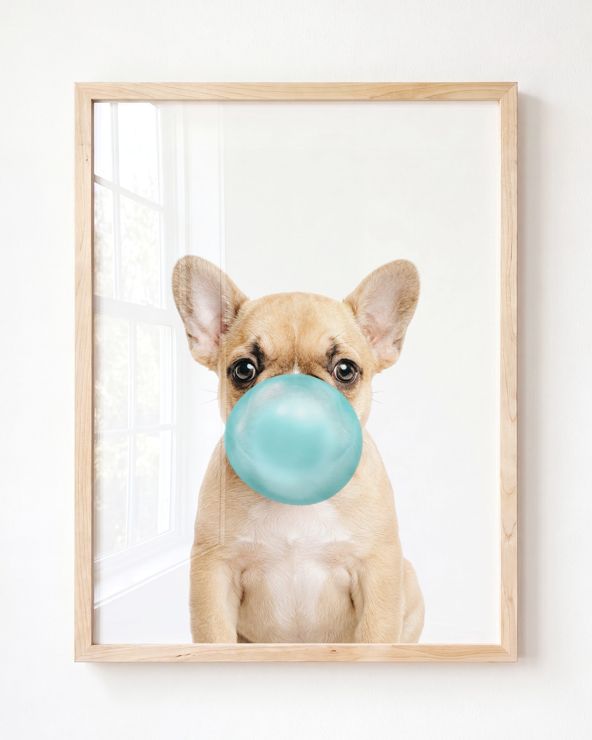 Baby Puppy French Bulldog