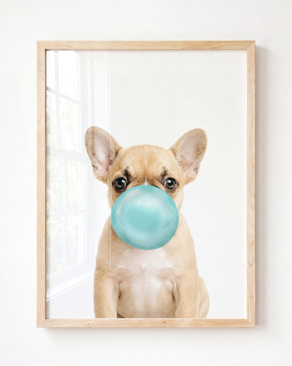 Baby Puppy French Bulldog