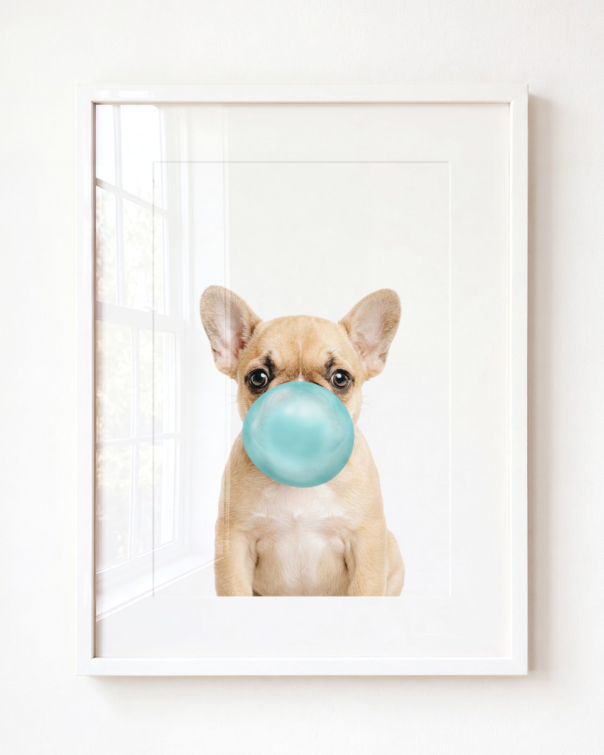 Baby Puppy French Bulldog