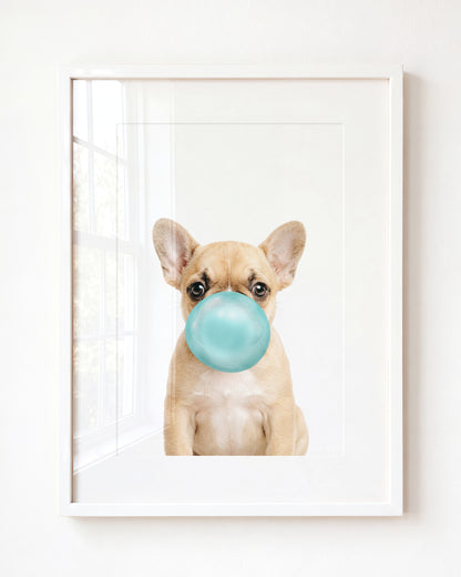 Baby Puppy French Bulldog