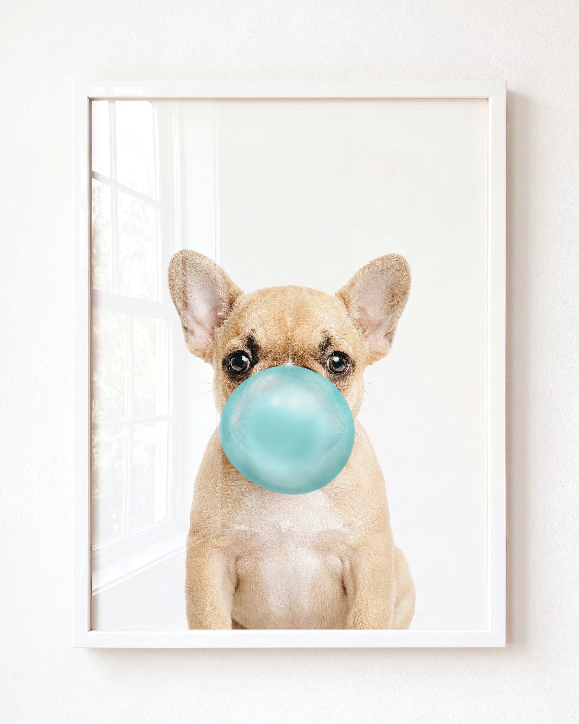 Baby Puppy French Bulldog