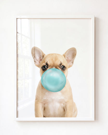 Baby Puppy French Bulldog