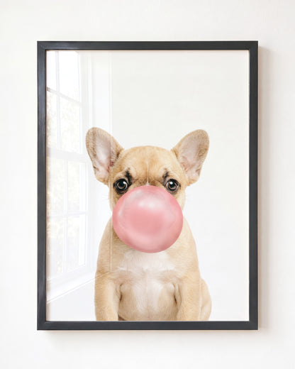 Baby Puppy French Bulldog
