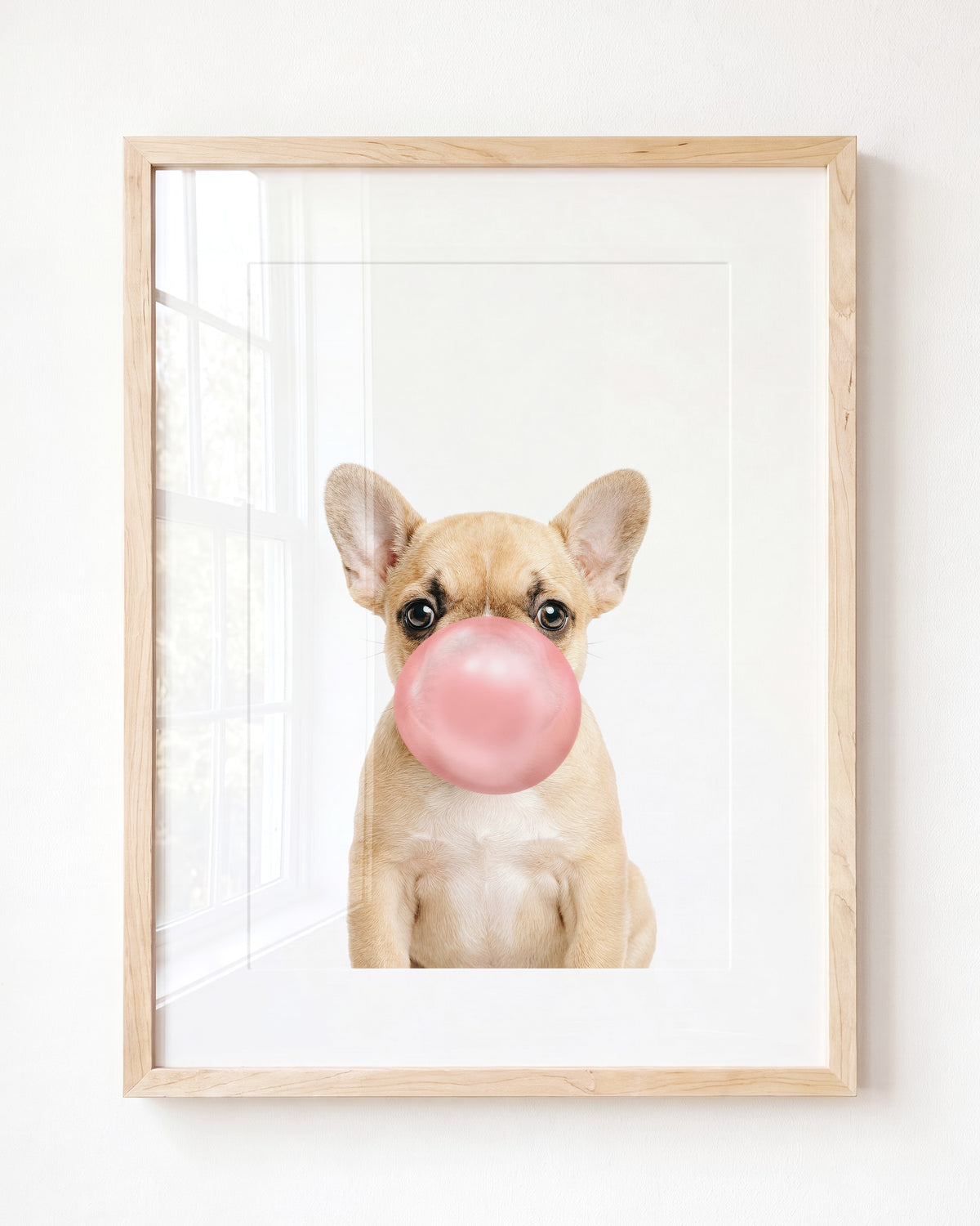 Baby Puppy French Bulldog