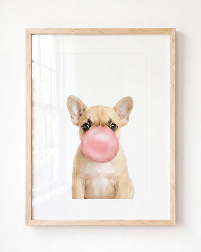 Baby Puppy French Bulldog