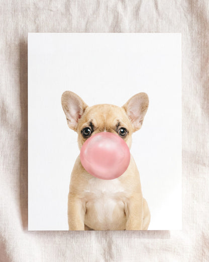 Baby Puppy French Bulldog