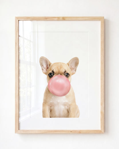 Baby Puppy French Bulldog