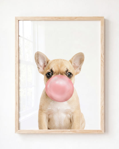 Baby Puppy French Bulldog