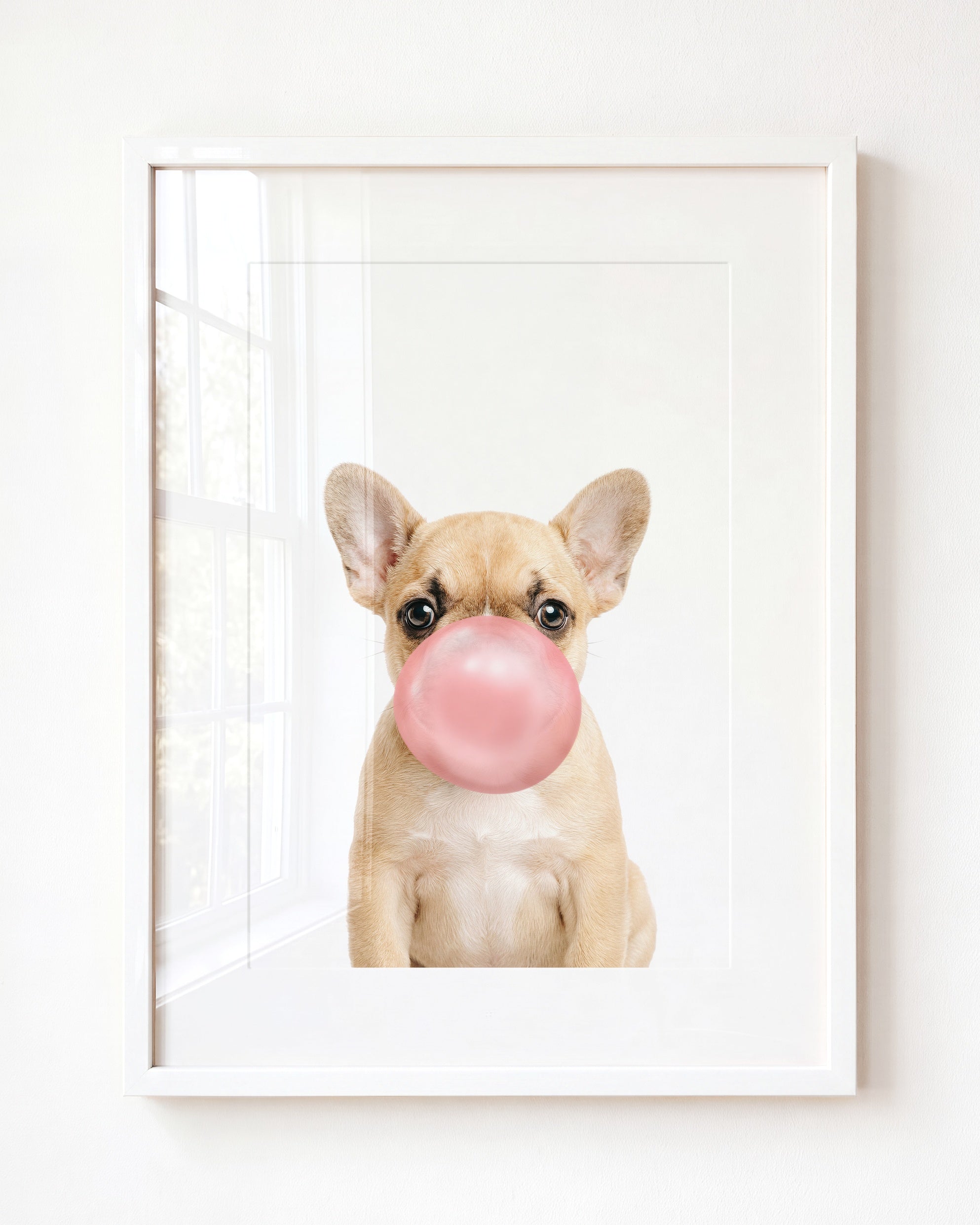 Baby Puppy French Bulldog