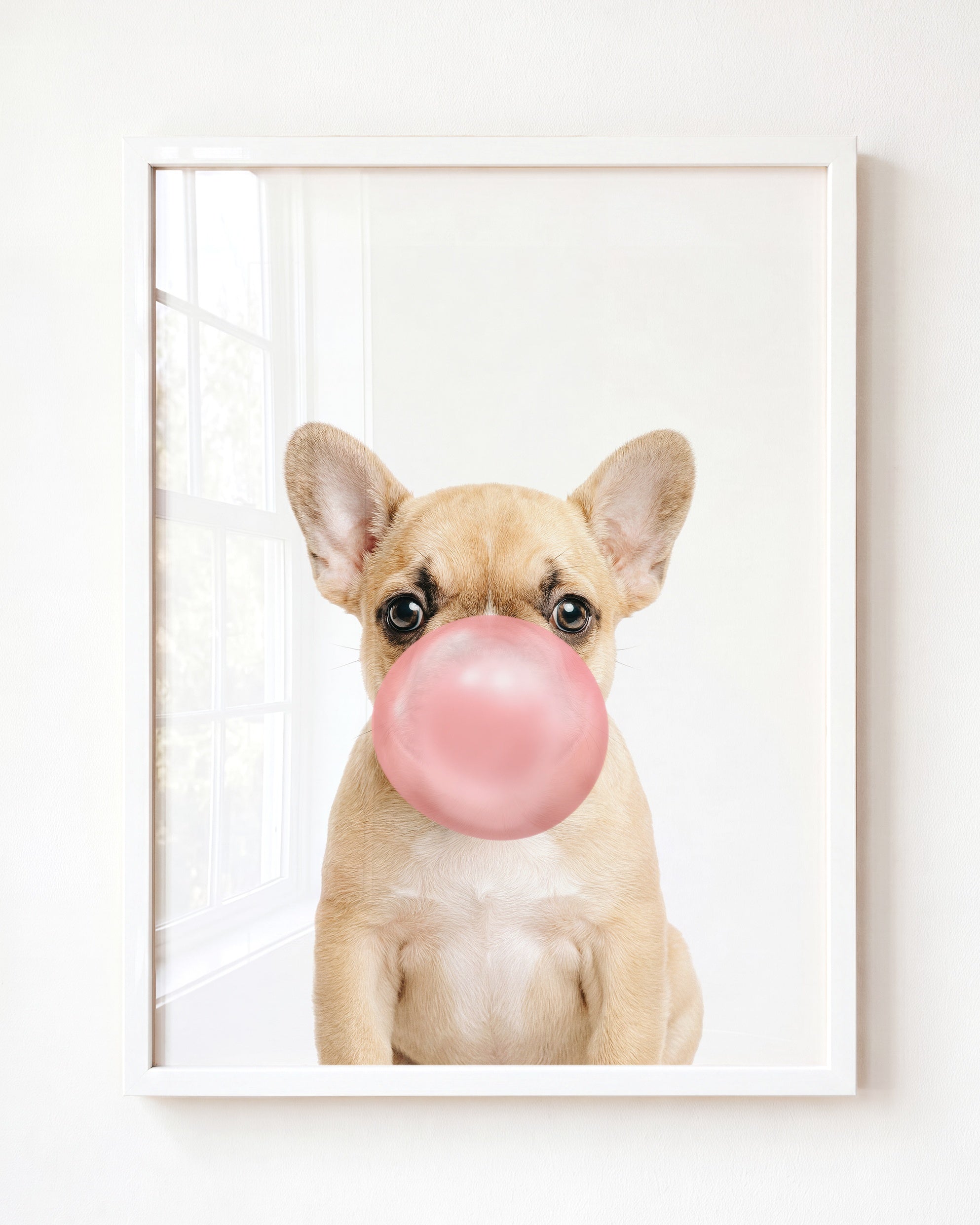 Baby Puppy French Bulldog