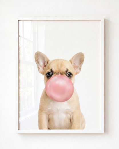 Baby Puppy French Bulldog