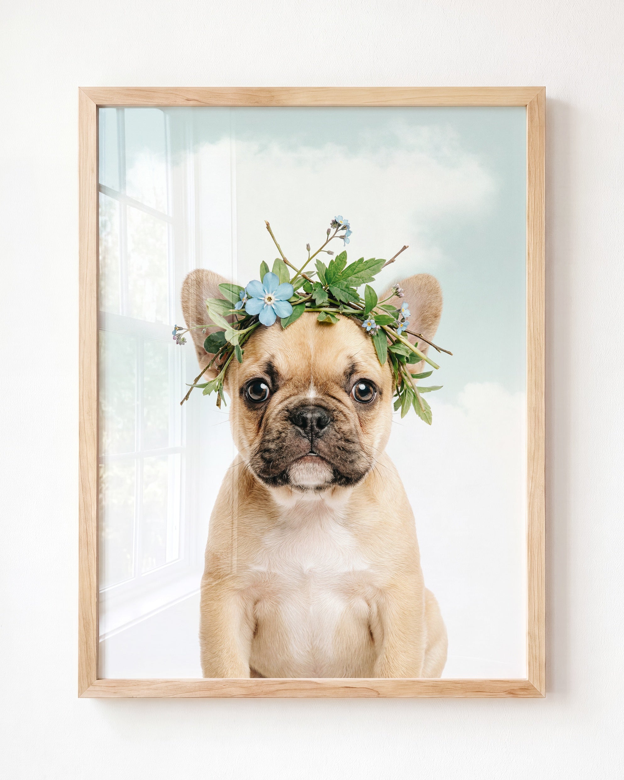 Baby Puppy French Bulldog