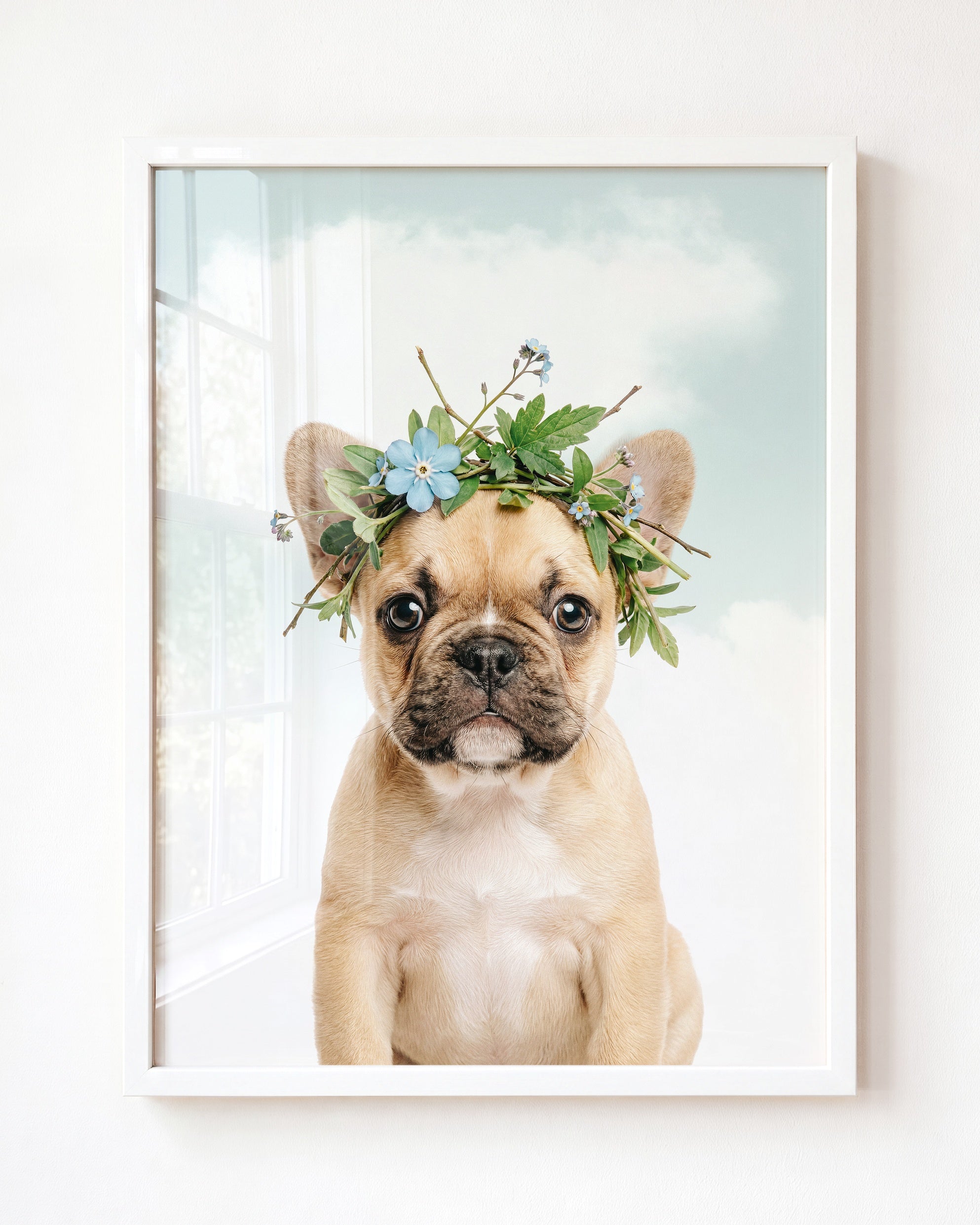 Baby Puppy French Bulldog