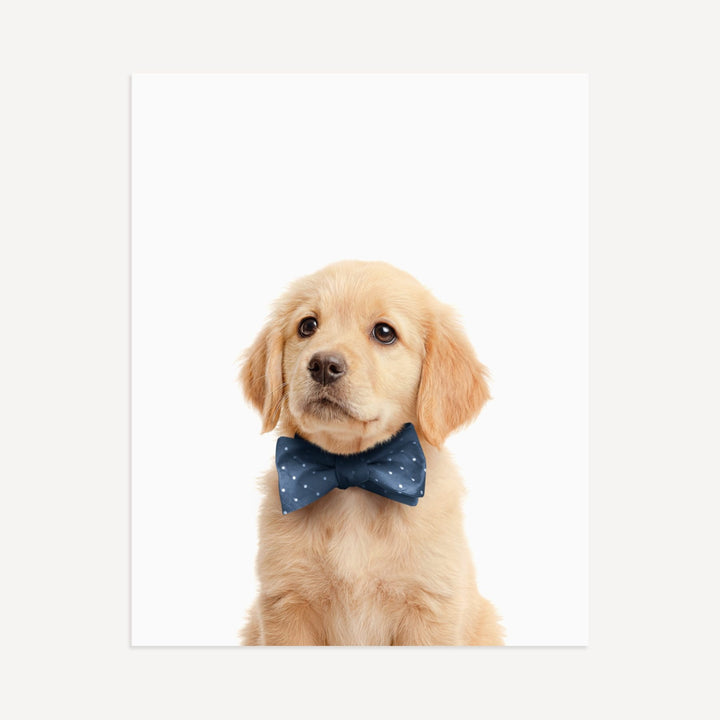 Baby Puppy Golden Retriever Portrait