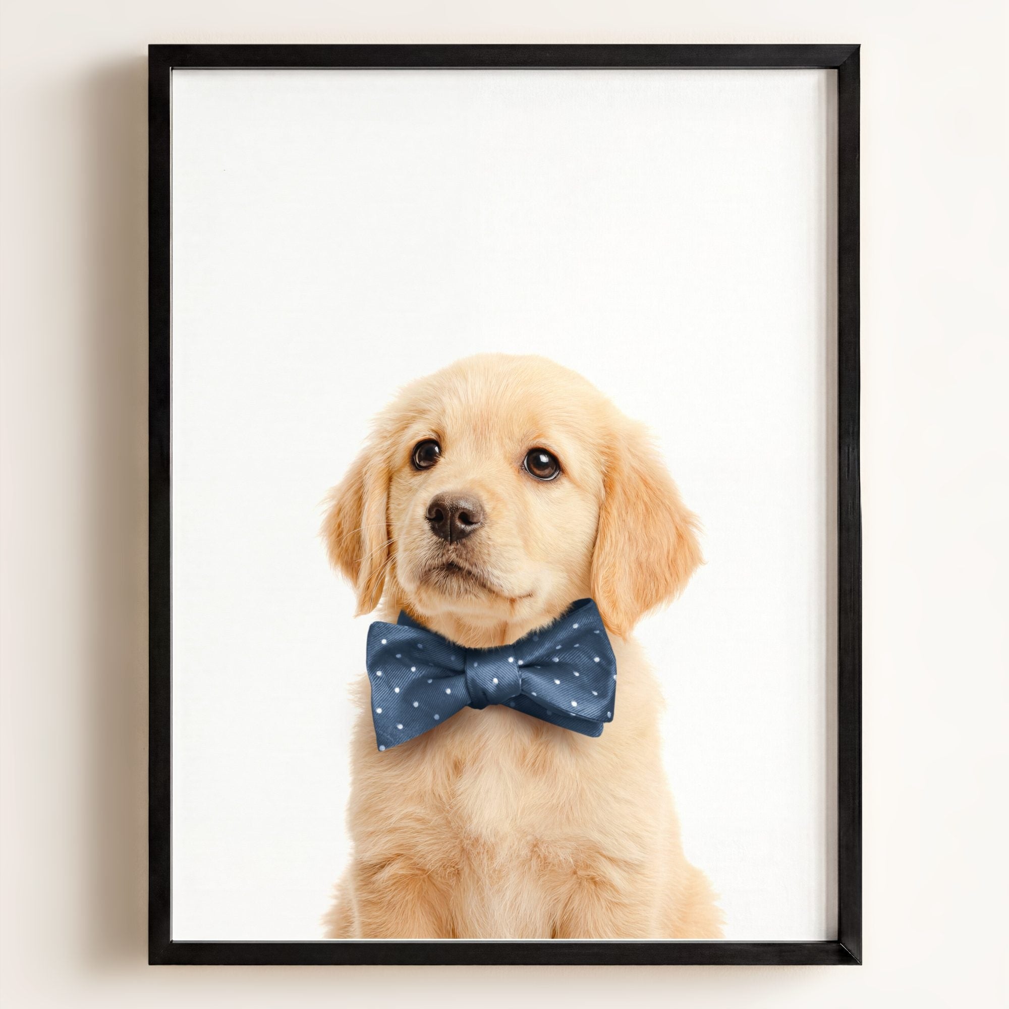 Baby Puppy Golden Retriever Portrait