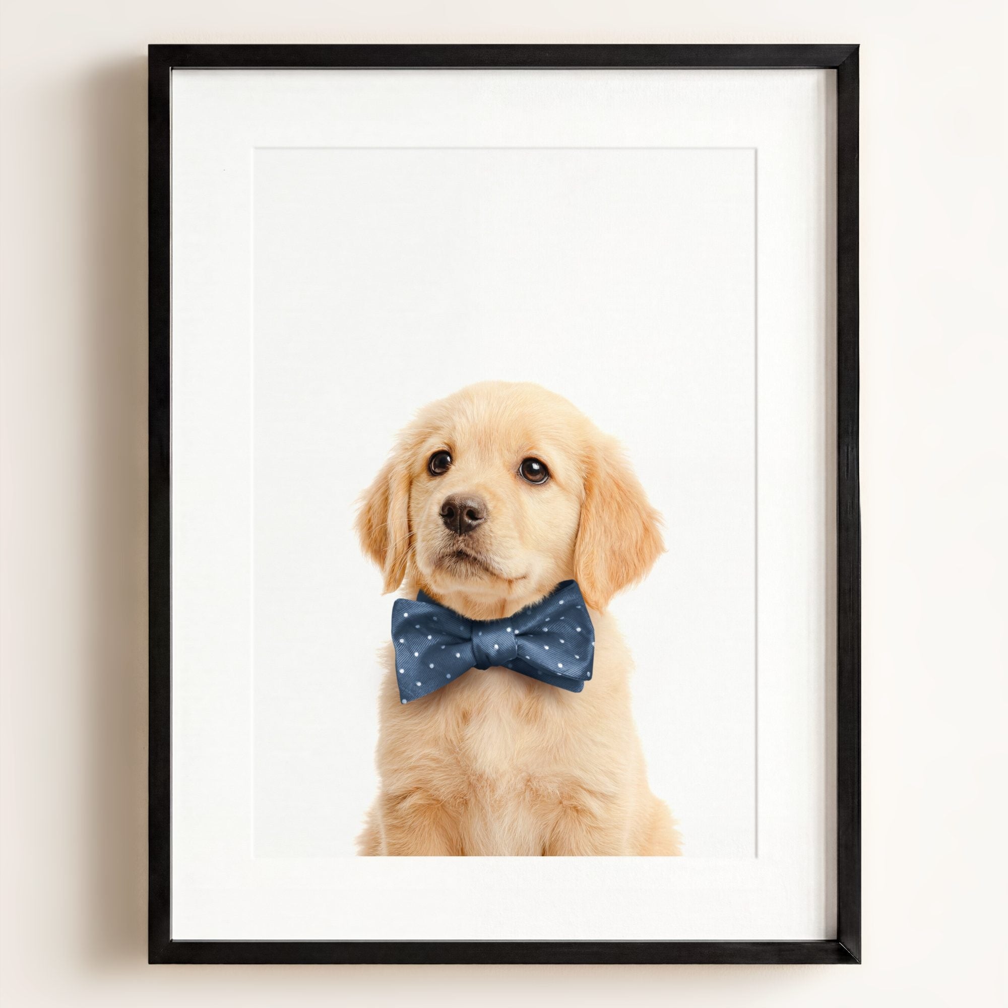 Baby Puppy Golden Retriever Portrait