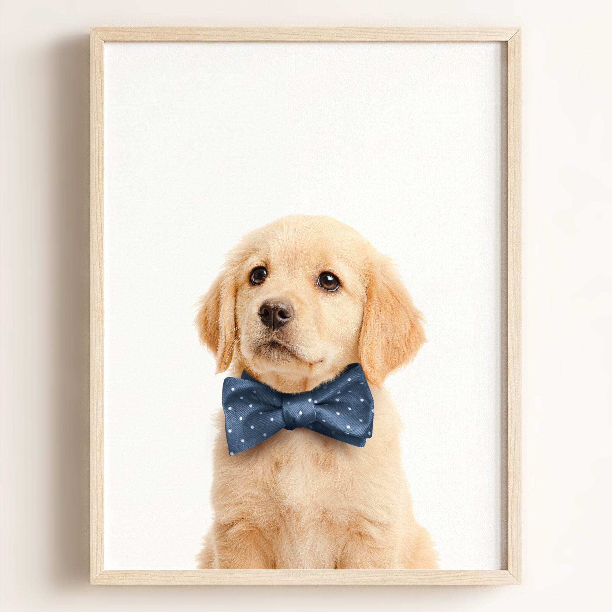 Baby Puppy Golden Retriever Portrait