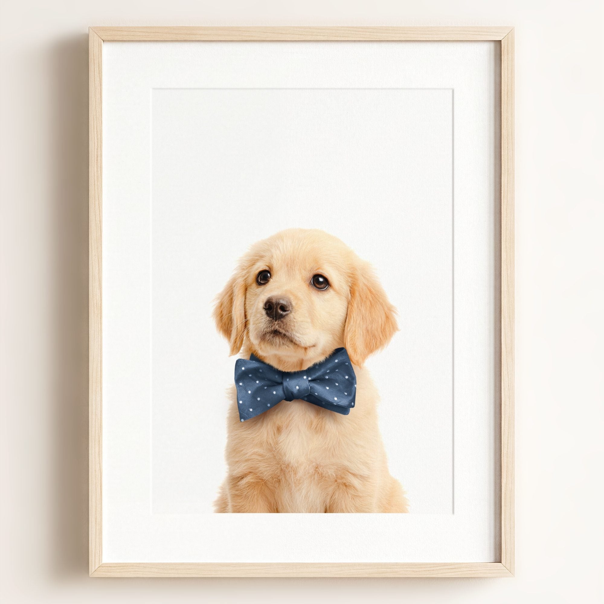 Baby Puppy Golden Retriever Portrait