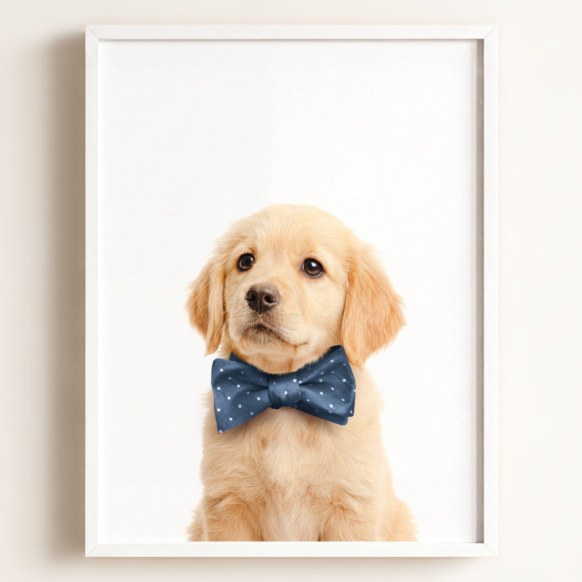 Baby Puppy Golden Retriever Portrait
