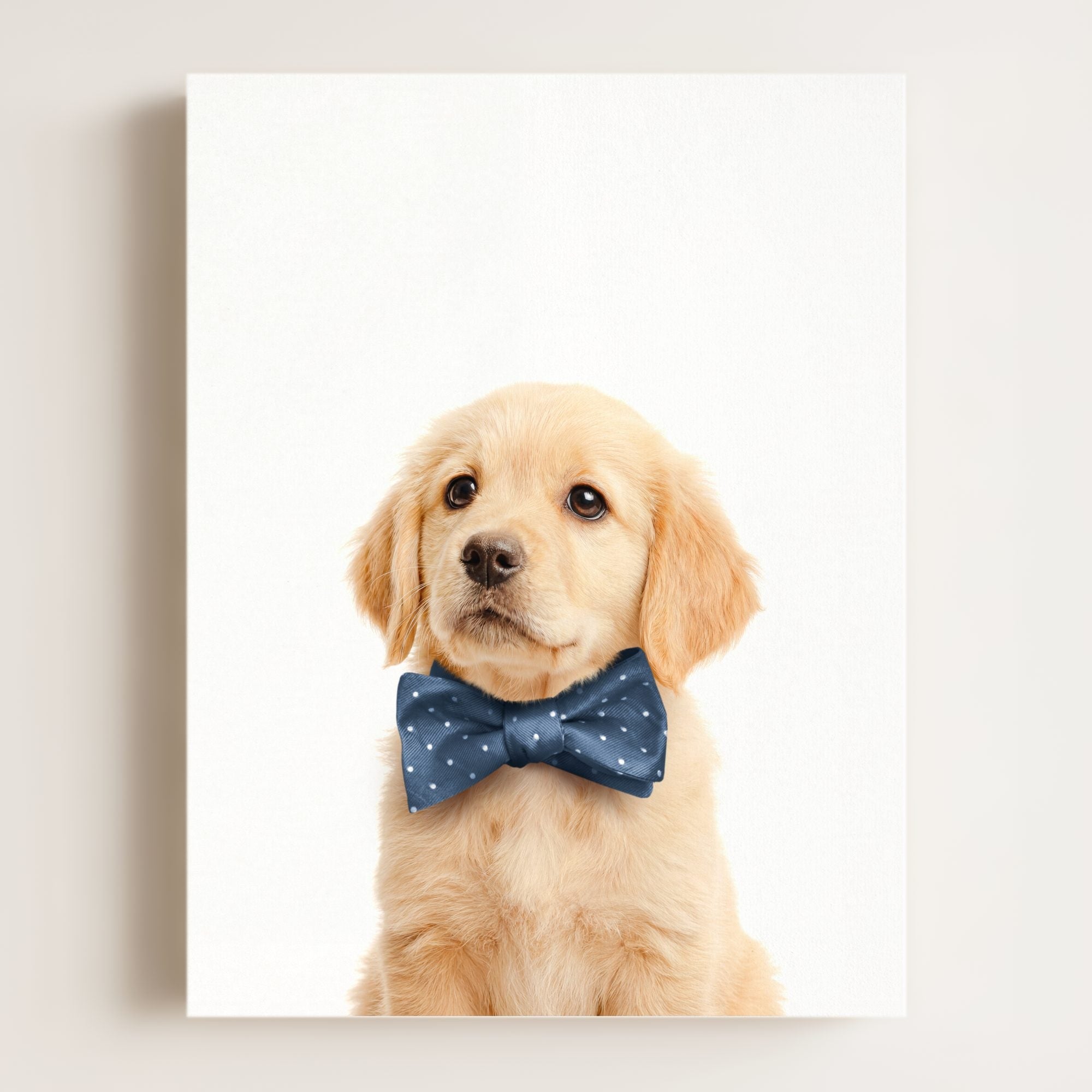Baby Puppy Golden Retriever Portrait