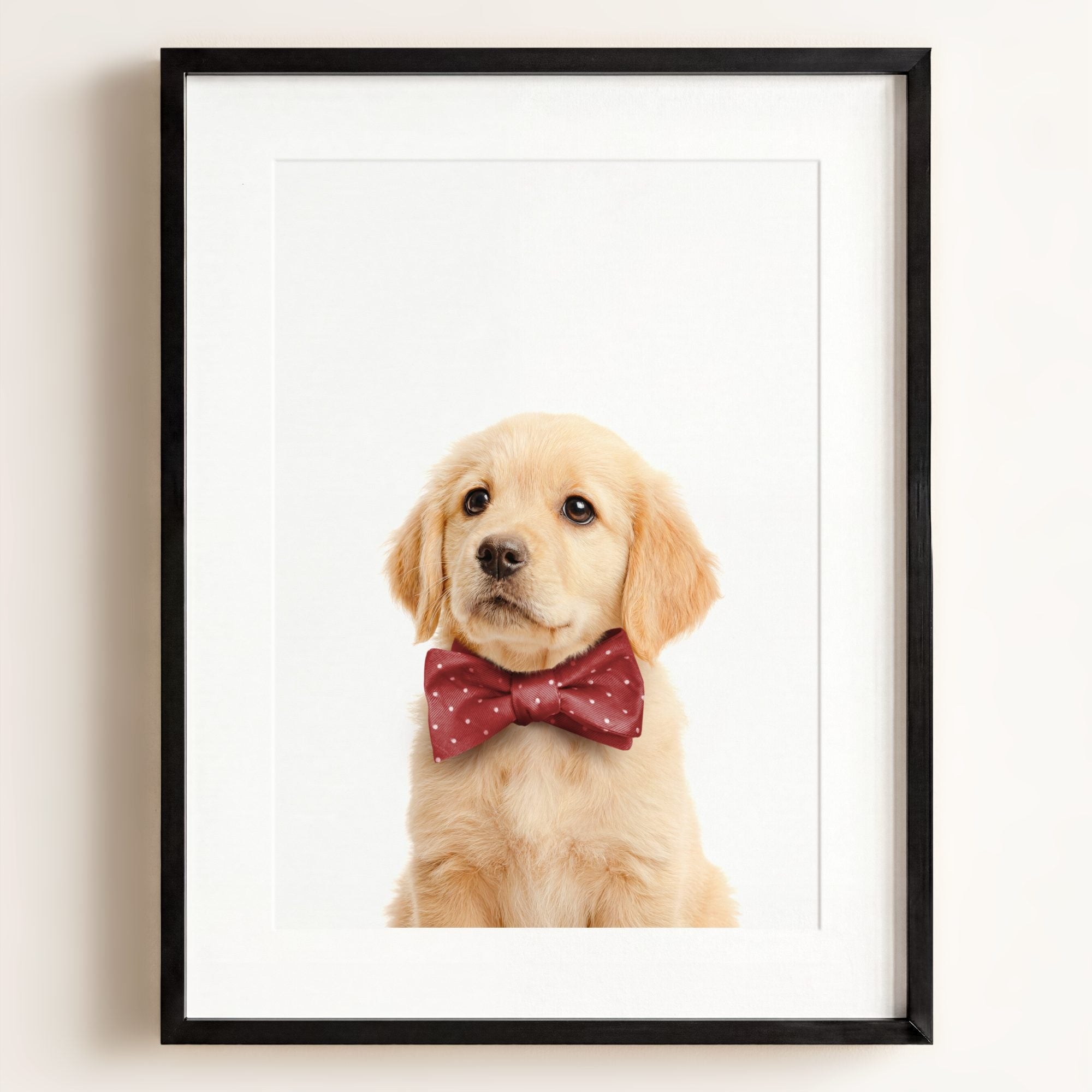 Baby Puppy Golden Retriever Portrait