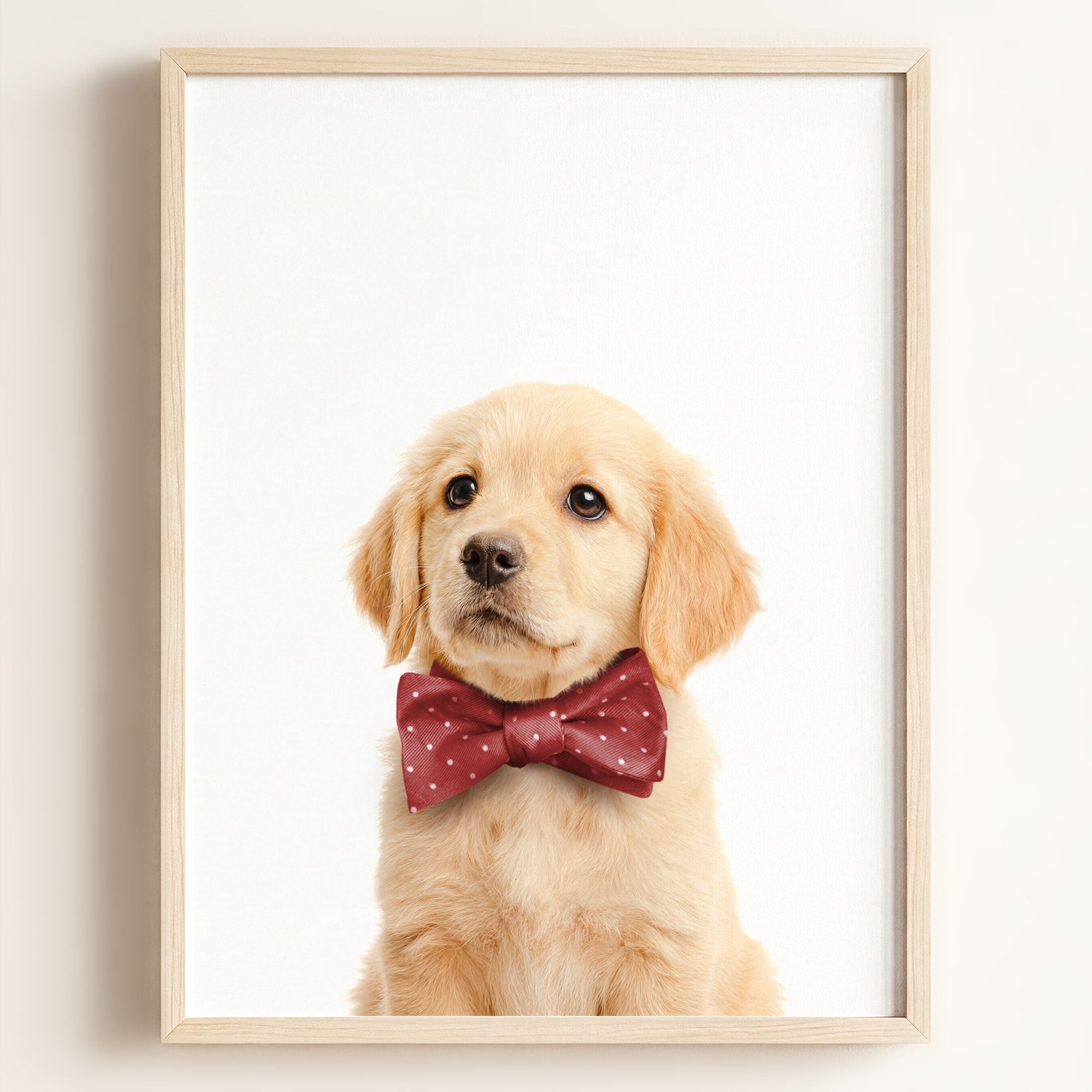 Baby Puppy Golden Retriever Portrait
